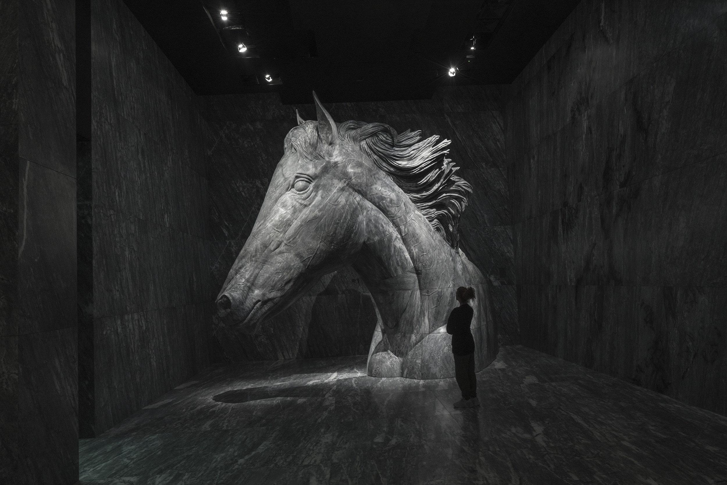 Horse Vision Pavillion